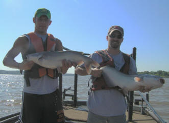 Sampling blue catfish to assess effects of habitat on catch rate and size structure