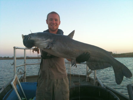 Delayed blue catfish mortality from jug fishing-Shoup fisheries management  & fisheries ecology lab