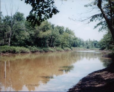 Halfmoon lake, an oxbow used for assessing fish communities in floodplain ecosystems
